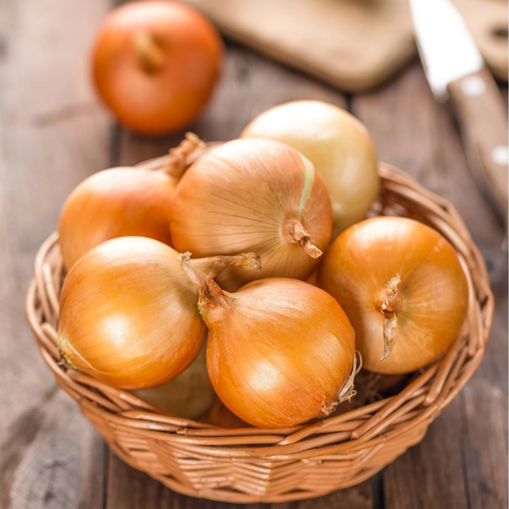 50 Dutch Large Brown Onion Seeds Welldales