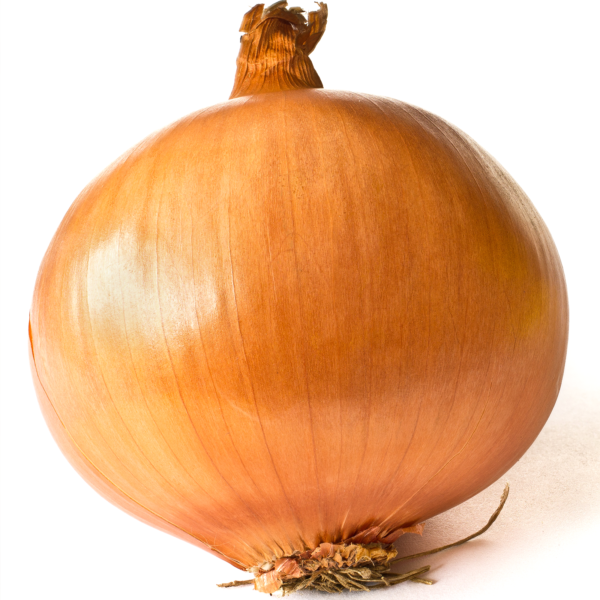 50 Large Brown Onion Seeds Easy Peel Sweet & Spicy Dutch Rijnsburger Vegetable big one