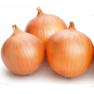 50 Large Brown Onion Seeds Easy Peel Sweet & Spicy Dutch Rijnsburger Vegetable main