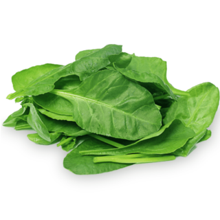 50 Premium British Spinach Seeds Giant Green Leafy Winter Vegetable UK Organic spinach medina leaves on a white background