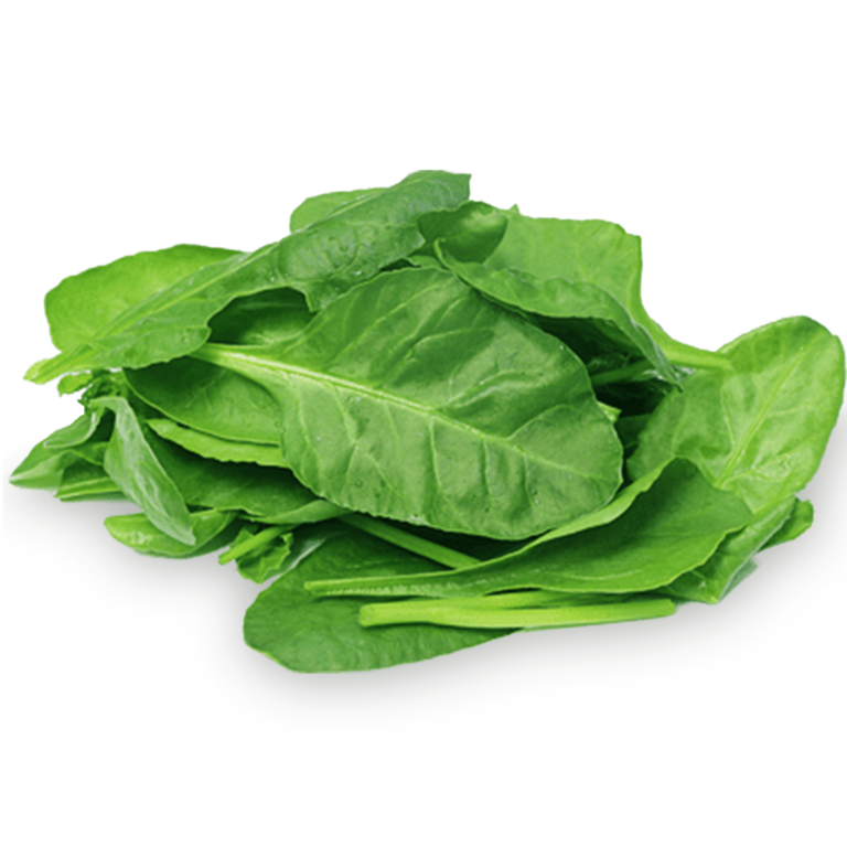 50 British Green Spinach Seeds Welldales