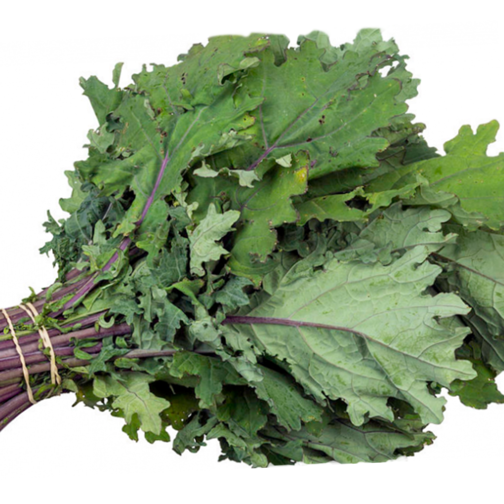 50 Scarlet Purple Kale Seeds Welldales