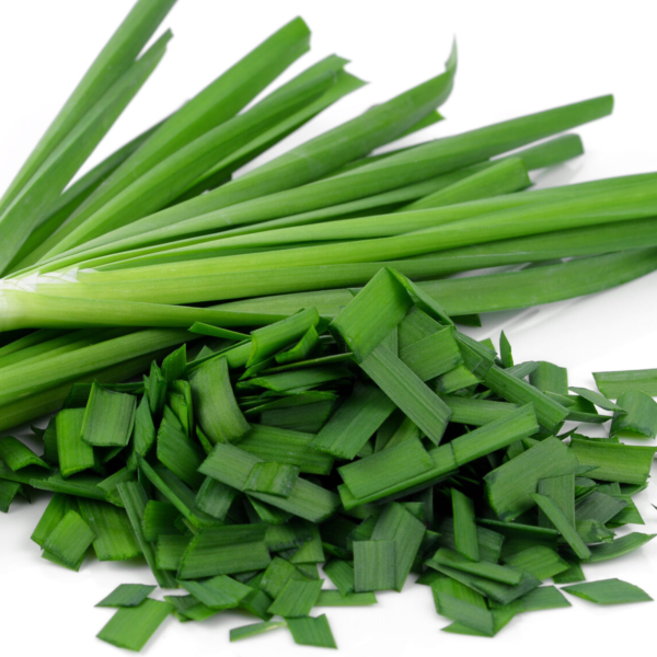 50 Sweet Chinese Garlic Chive Herb Seeds UK Harvested Organic China Chives Seed