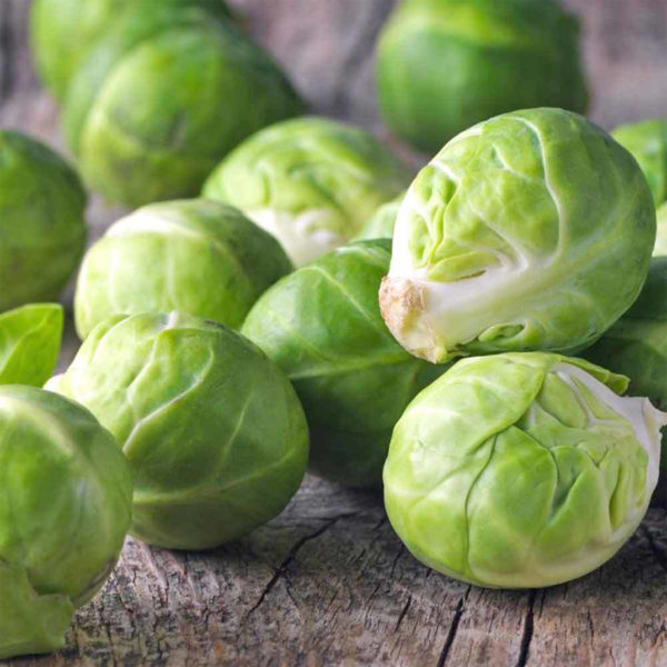 50 Winter Brussel Sprouts Seeds Large English Garden & Greenhouse Vegetables FEATURE