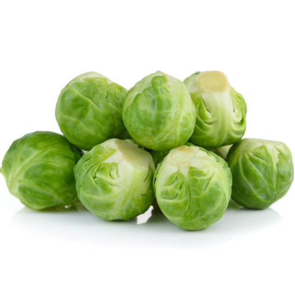 50 Winter Brussel Sprouts Seeds Large English Garden & Greenhouse Vegetables MAIN
