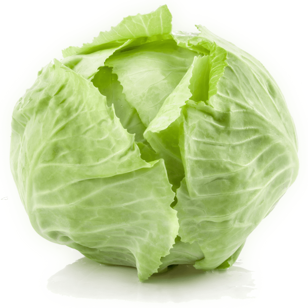 100 Large White Ball Cabbage Seeds Welldales