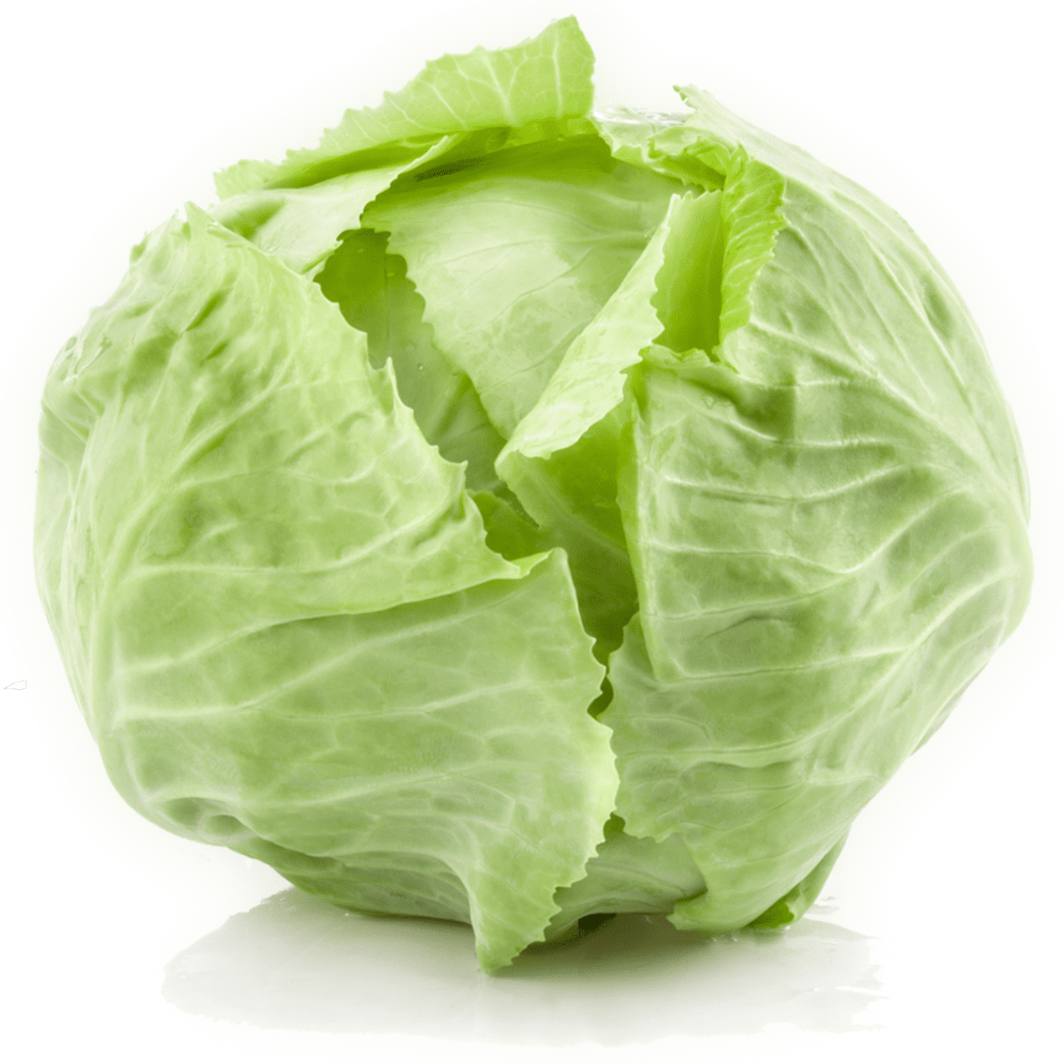 100 Large White Ball Cabbage Seeds Welldales