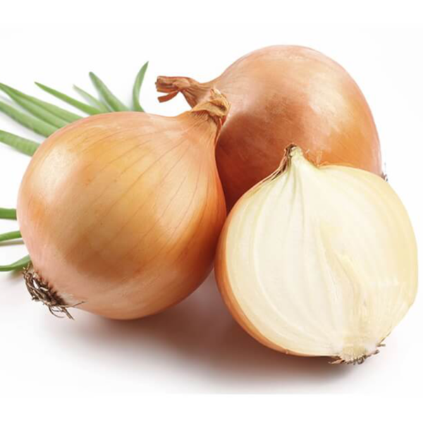 25pcs Large British Onion Seeds Golden Brown Gardeners Selected Premium Packs 2