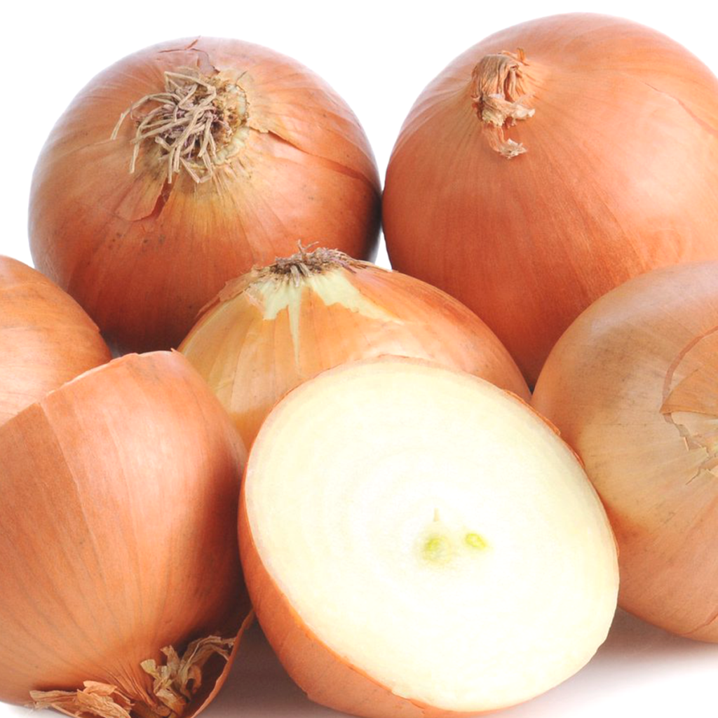 30 Giant Sweet Brown Onion Seeds Welldales