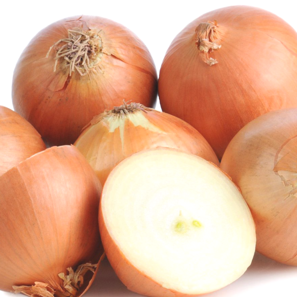 25pcs Large British Onion Seeds Golden Brown Gardeners Selected Premium Packs 3