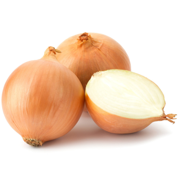 25pcs Large British Onion Seeds Golden Brown Gardeners Selected Premium Packs