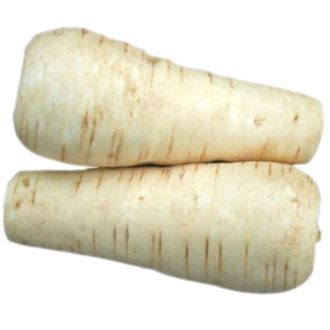 50 Giant Gem Parsnip Seeds Grow White Garden Vegetables Guernsey Special Variety on a white background