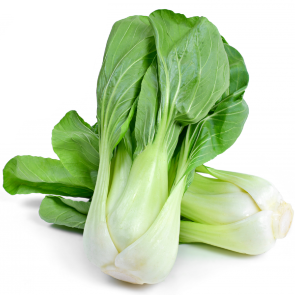 50-Giant-Pak-Choi-Seeds-Chinese-Cabbage-White-Stem-Canton-Vegetables- White Background 2