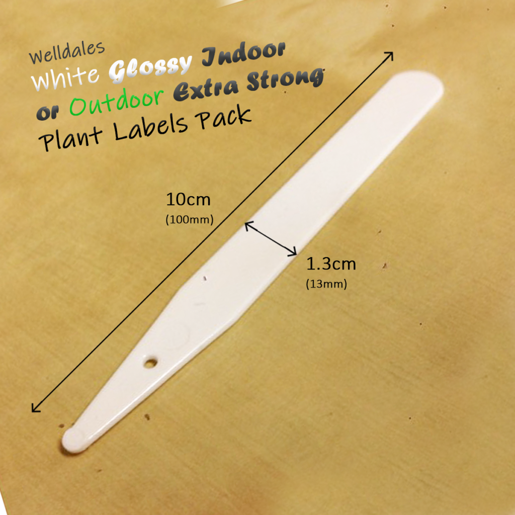 50 White Plastic Plant Labels 10cm Welldales