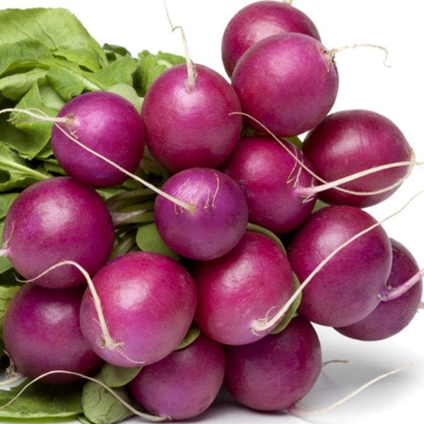 50 Purple Giant Vegetable Radish Seeds Grow Large Round Bulbs UK Harvested MAIN
