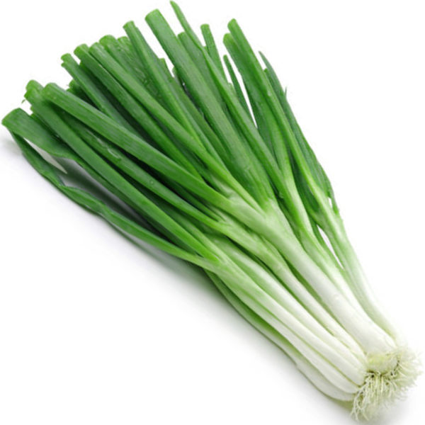 50 Spring Onion Seeds for Gardens Pots & Greenhouses Thick White Stem Vegetables main