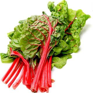 50-Swiss-Chard-Rhubarb-Seeds-Red-Large-Vegetable-UK-Leafy-Green-Red-Stem-Plants - Leafy green swiss chard on white background spinach 2