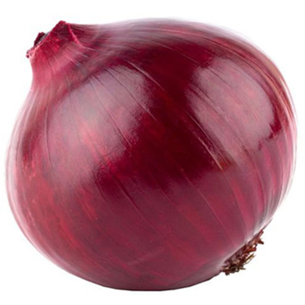 Welldales 30 Giant Sweet Red Onion Seeds Pack UK Harvest Plants Grow Vegetables 2