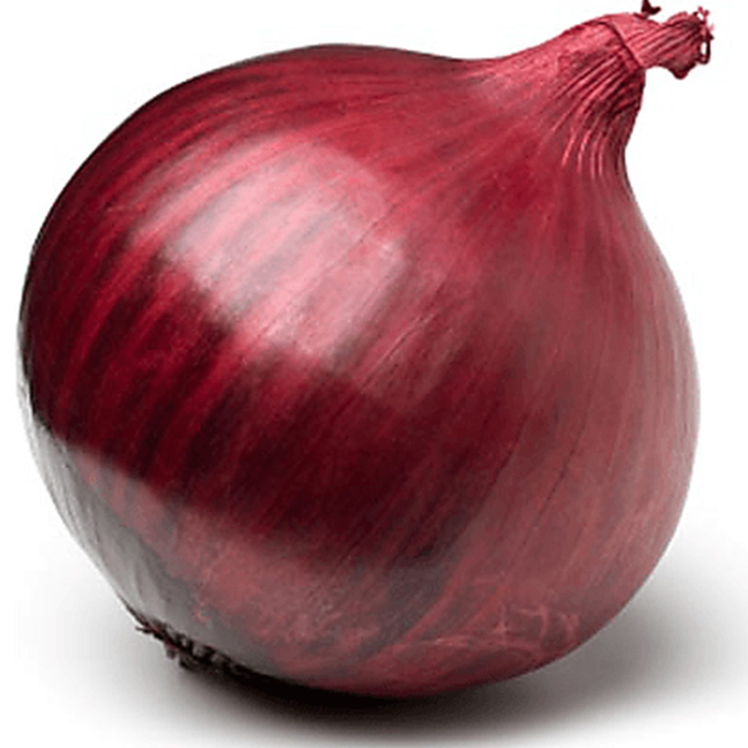 30 Giant Sweet Red Onion Seeds Welldales