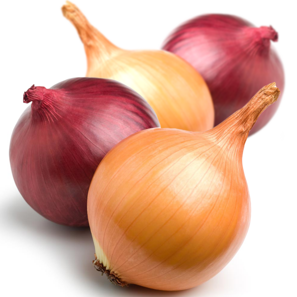 50Pcs Premium Onion Seeds Spicy & Sweet Mix Pack UK Yellow Brown & Red 22