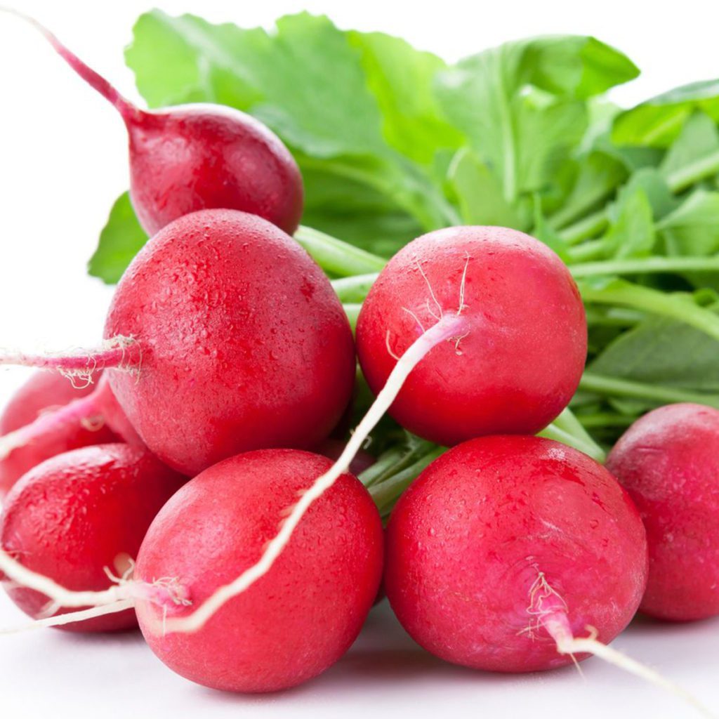 50 Cherry Red Belle Radish Seeds - Welldales