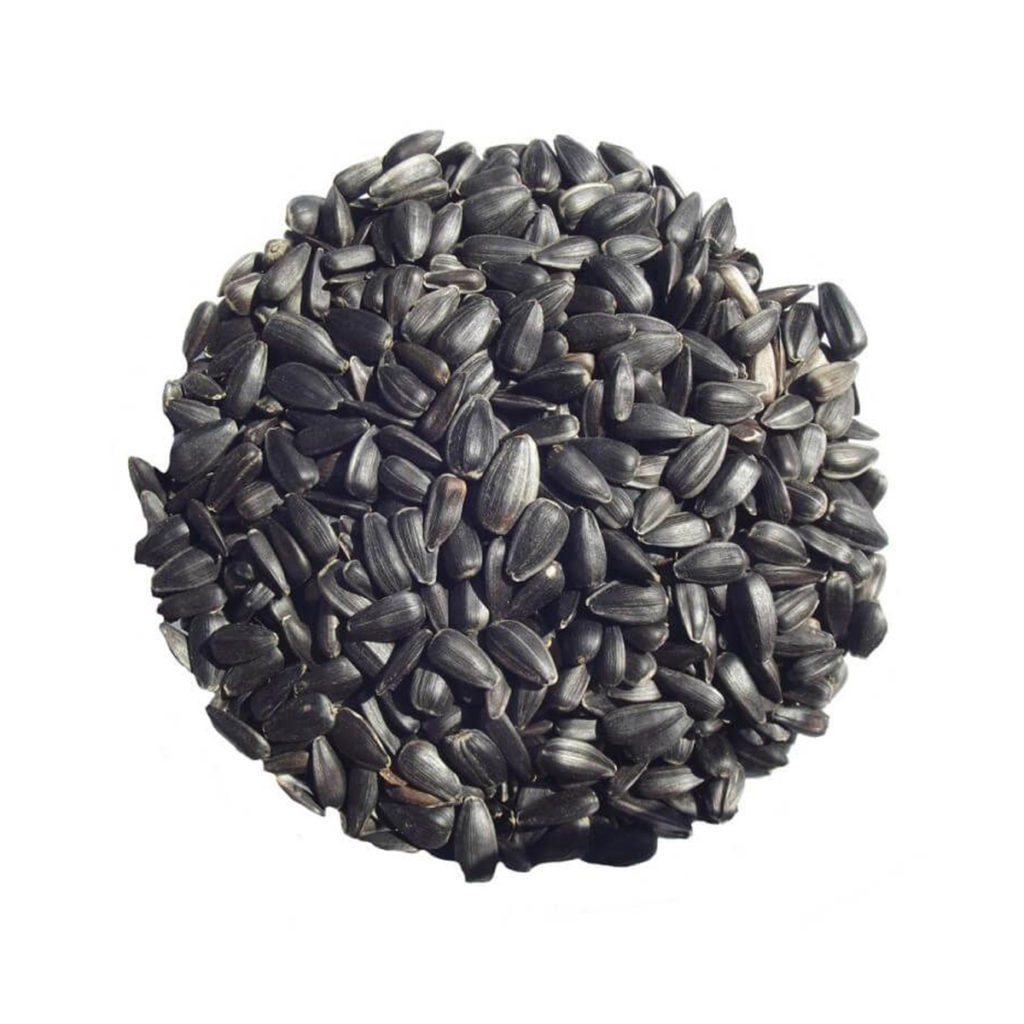 30 Dwarf Sunflower Seeds Welldales