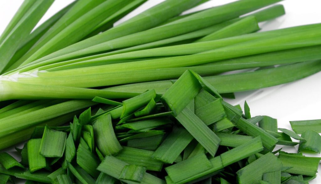 How to Sow Garlic Chinese Chive Seeds - Welldales