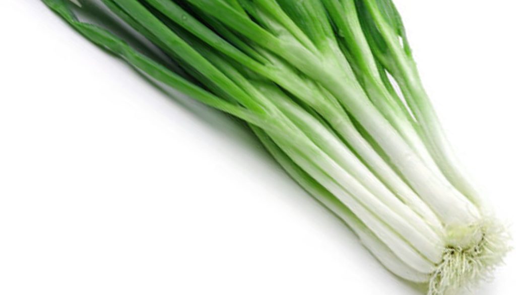 How to Sow Crunchy Spring Onion Seeds Welldales