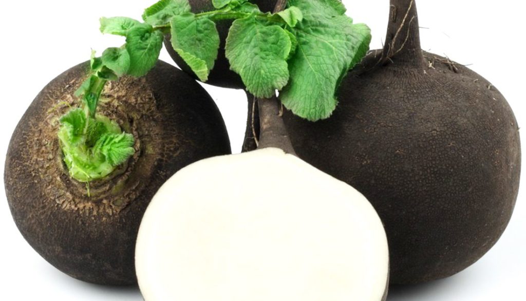 How to Sow Spanish Black Radish Seeds Welldales
