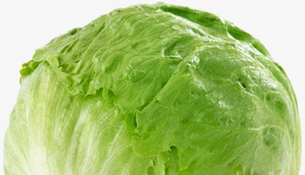 How to Sow British Giant Iceberg Lettuce Seeds Welldales