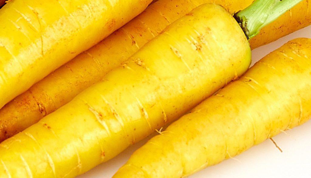 How to Sow Yellowstone Carrot Seeds Welldales