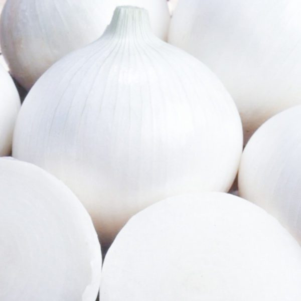 50 Giant Sweet White Spanish Onion Seeds Pack UK Harvested Vegetables to Grow 4