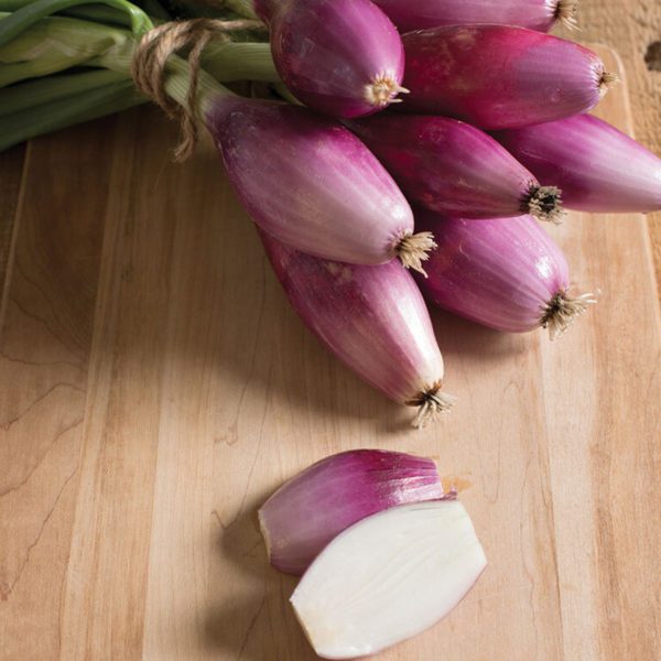 50 Long Scarlet Red Onion Seeds - Image 4