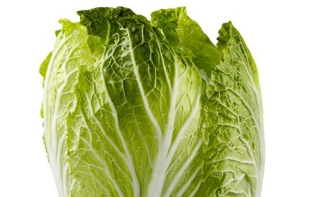 50 Giant Wong Bok Cabbage Seeds Tender Chinese Leafy Garden Vegetable Salad Pack 4