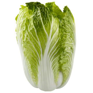 50 Giant Wong Bok Cabbage Seeds Tender Chinese Leafy Garden Vegetable Salad Pack 4
