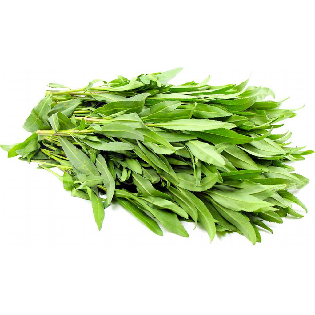 The Spice Hunter® Tarragon, Organic, Leaves U2013 Sauer Brands