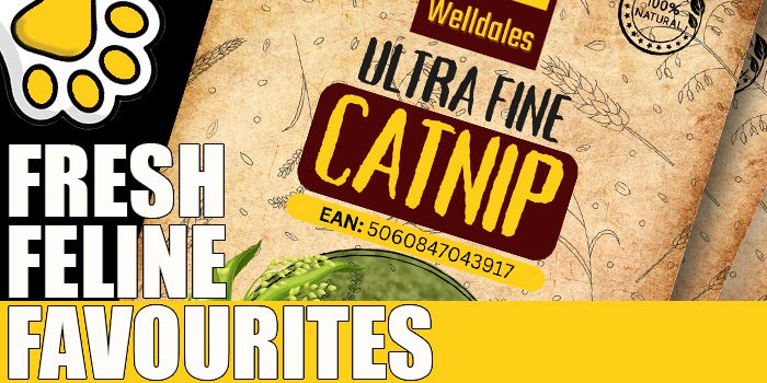 Welldales Cat Products Catnip Home Button