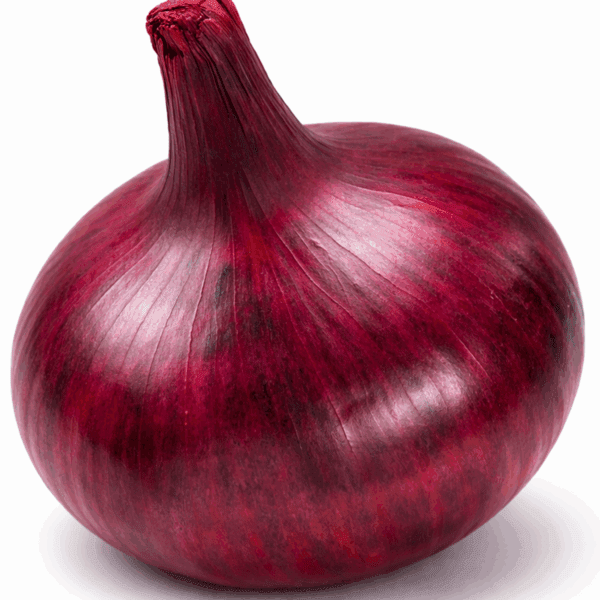 50 American Sweet Burgundy Red Onion Seeds for Planting Exhibition Salad Veg 4