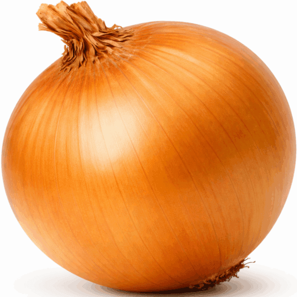 50 German Giant Onion Seeds Jumbo Heirloom Stuttgart Sweet Heritage Vegetable