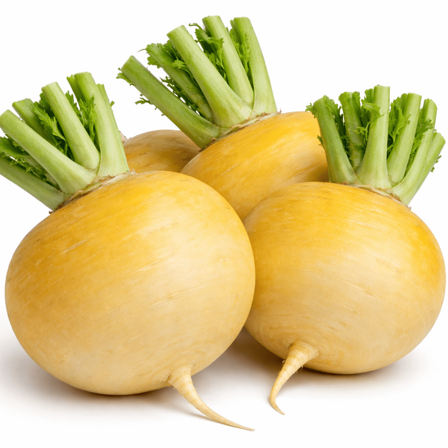 50 UK Giant Gold Turnip Vegetable Seeds for Planting Grow Your Own Garden Veg