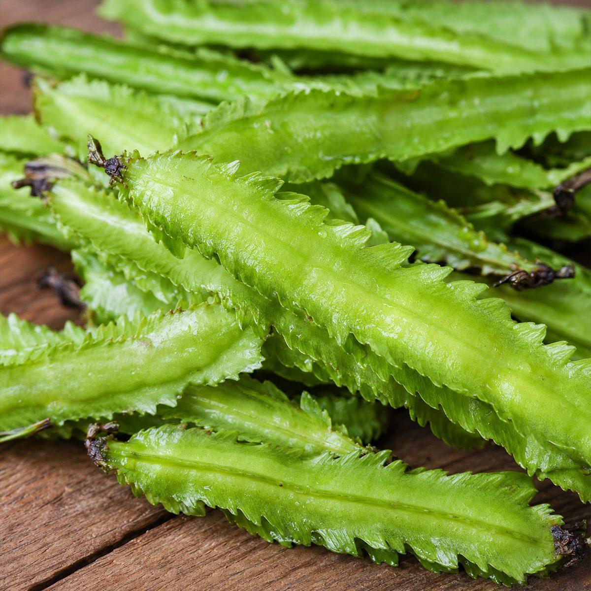 10 UK Heirloom Pea Asparagus Seeds Grow Your Own Vegetable for Planting Legume